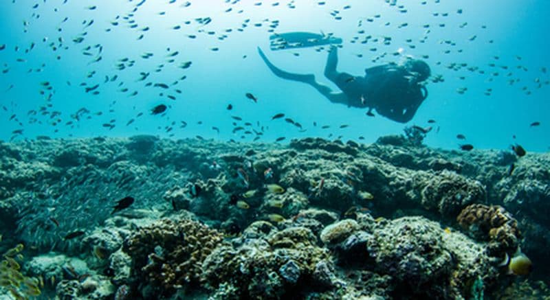 Billet Baptême et initiation de plongée à Nice