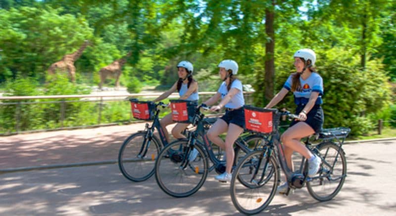 Billet Découverte de Lyon en vélo électrique