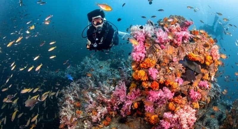 Billet Initiation à la plongée sous-marine dans le golfe d'Ajaccio