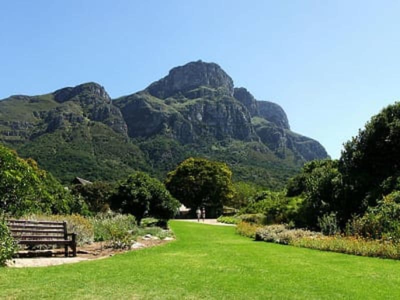 Billet Randonnée aux jardins de Kirstenbosch au Cap