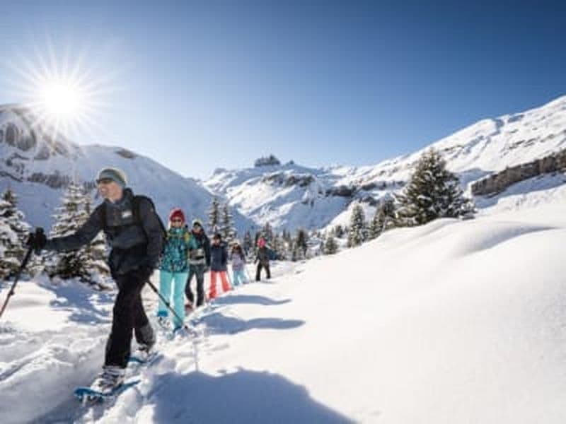 Billet Excursion en raquettes près d'Interlaken