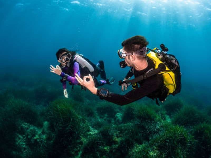 Billet Baptême de plongée dans le Parc national de Port-Cros près de Hyères depuis La Londe-les-Maures