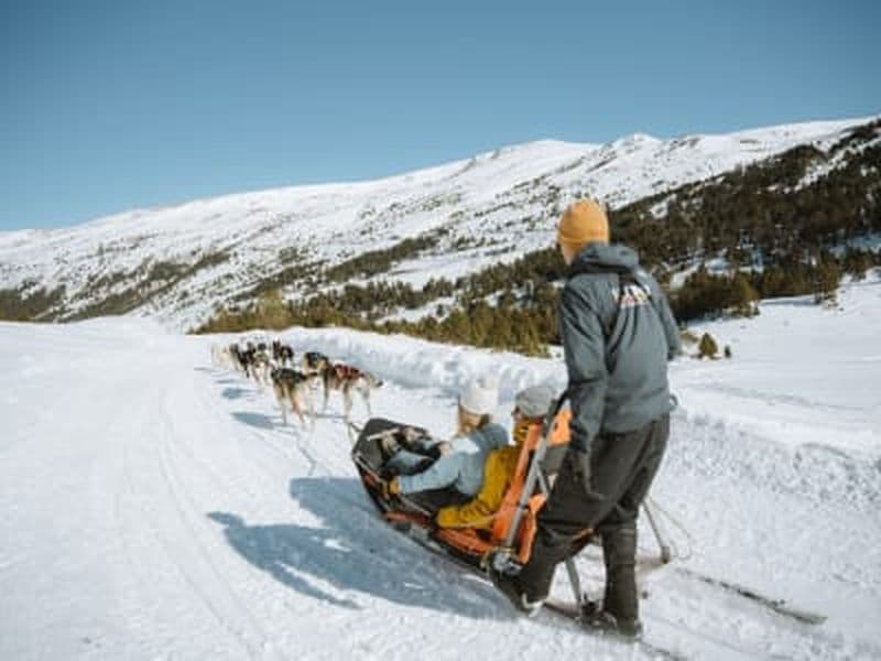 Billet Aventure hivernale : chiens de traîneau et balade en motoneige dans le parc de montagne de Grandvalira, Andorre