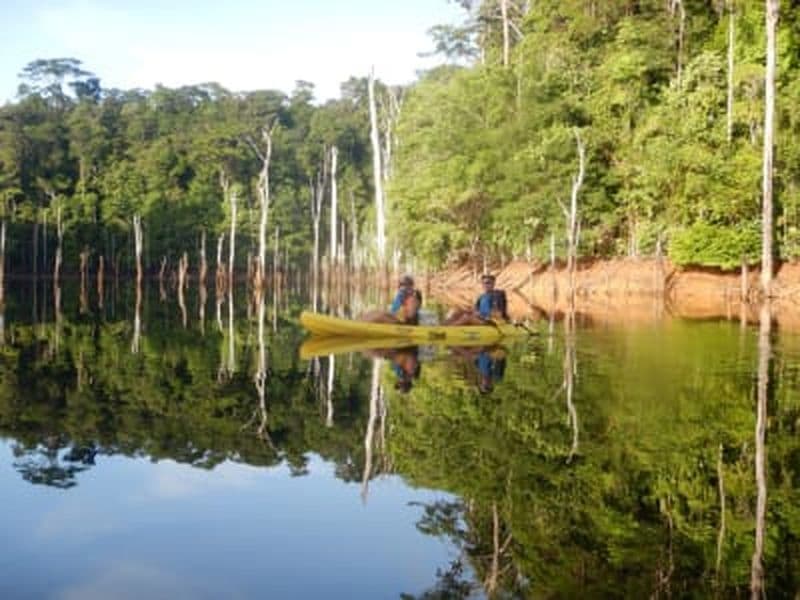 Billet Excursion canoë kayak sur les rivières de Guyane