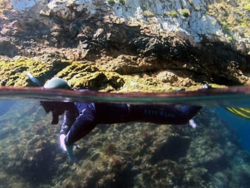 Billet Excursion en bateau de snorkeling dans la Reserva Natural de las Berlengas depuis Peniche