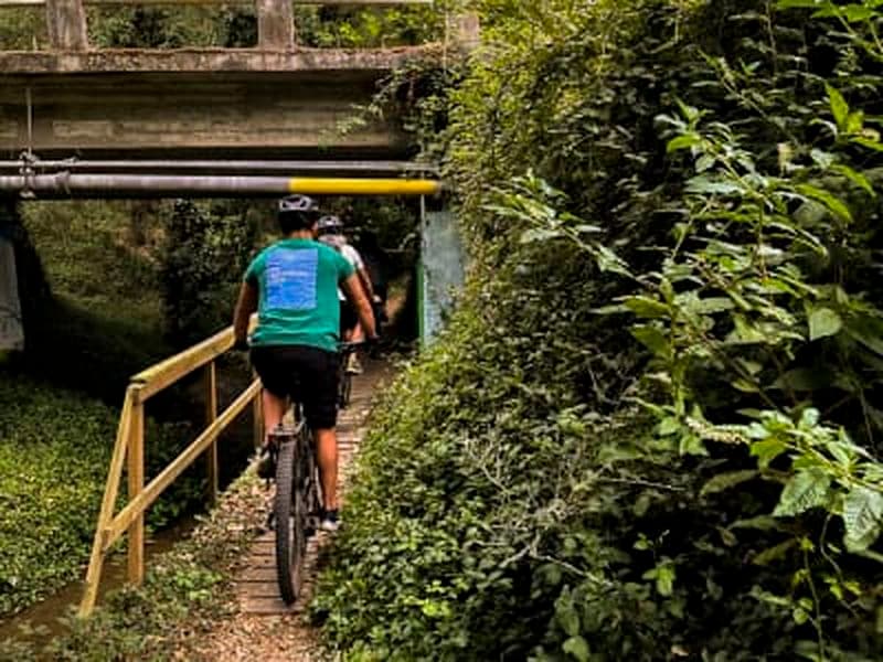 Billet Excursion guidée en e-bike à Batalha avec visite du monastère