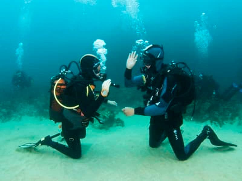 Billet Baptême de plongée et snorkeling dans la réserve naturelle de Berlengas, Peniche