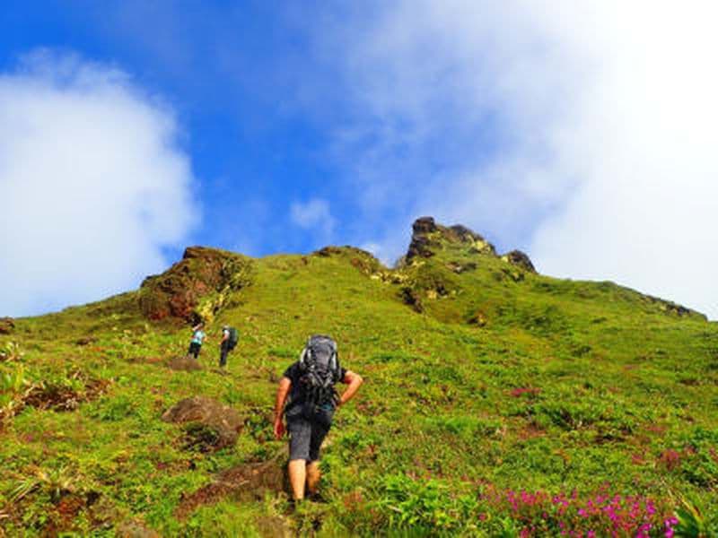 Billet Randonnée guidée sur le volcan de la Soufrière en Guadeloupe