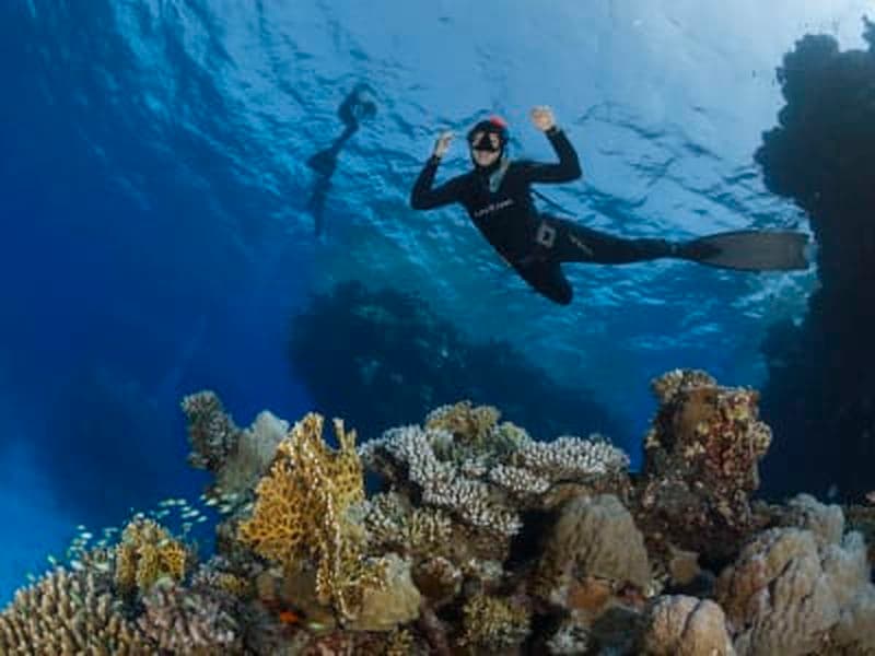 Billet Initiation apnée à Hyères