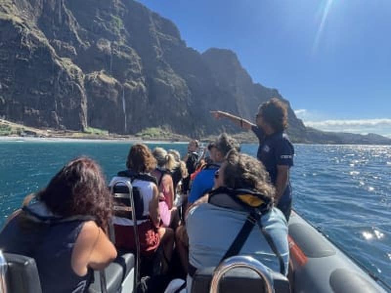 Billet Excursion d'observation des baleines et des dauphins à partir de Funchal, Madère