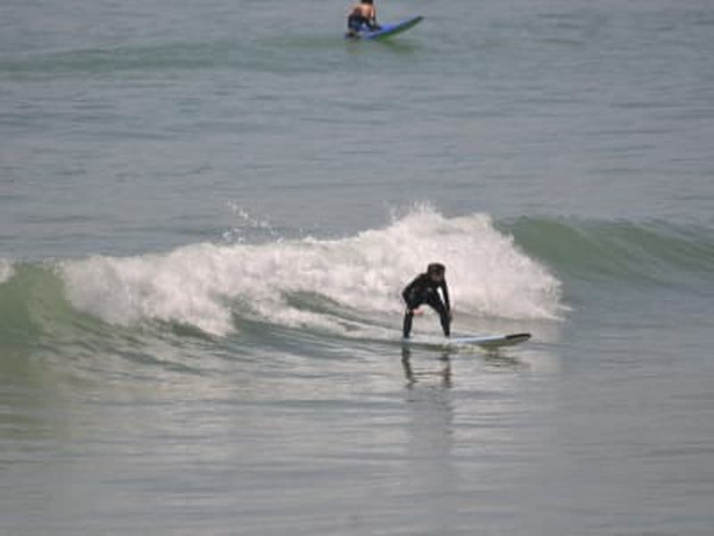 Billet Cours de Surf près de Taghazout, Agadir