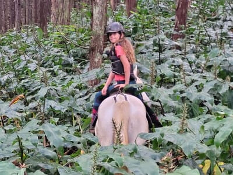 Billet Balade à cheval intermédiaire sur le Piton Maïdo, La Réunion
