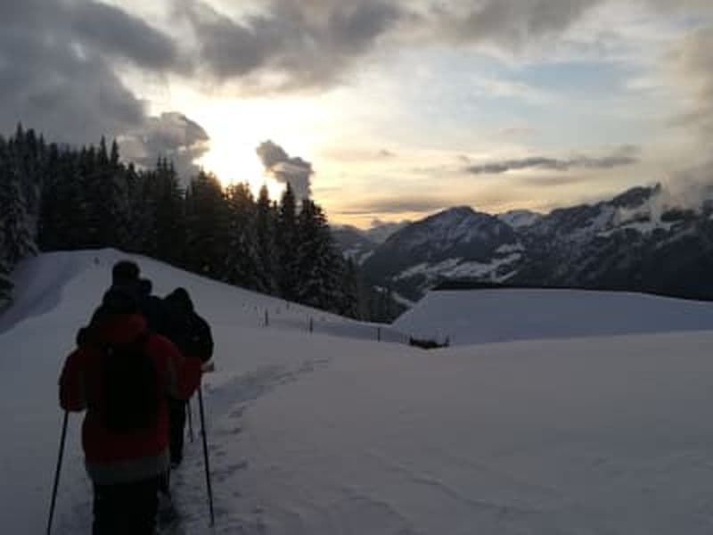 Billet Randonnée en raquettes à neige sur le Semnoz, près d'Annecy