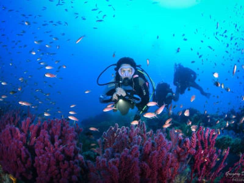 Billet Découverte de la plongée dans le Parc national de Port-Cros près de Hyères depuis La Londe-les-Maures