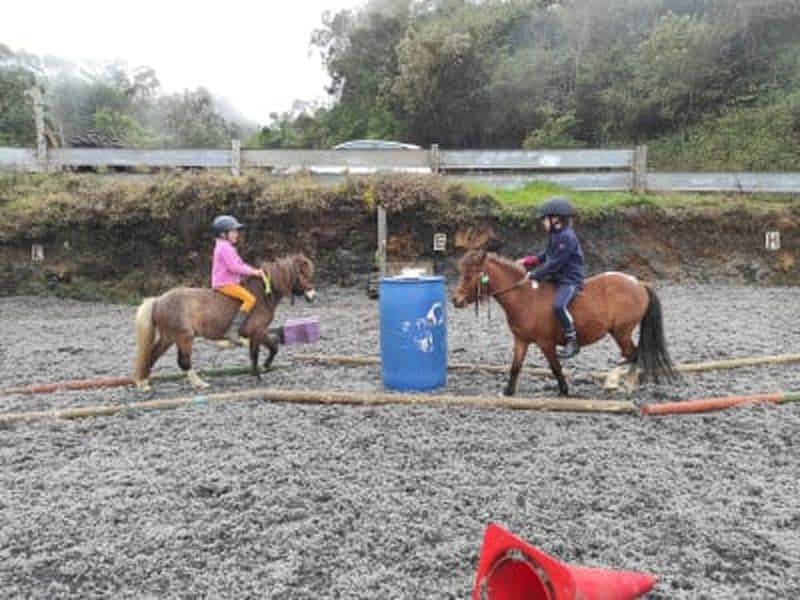 Billet Découverte de l’équitation pour les enfants à Maïdo, La Réunion