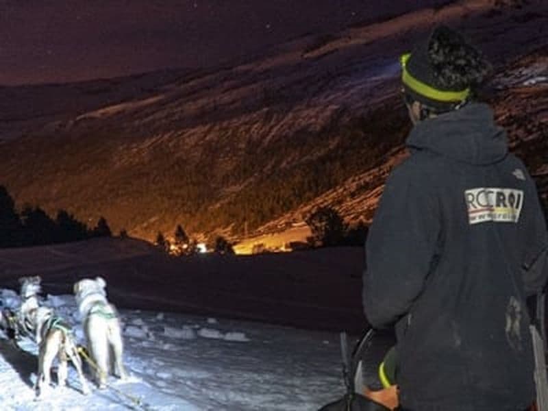 Billet Excursion en chiens de traîneau depuis Grau Roig dans le parc de montagne de Grandvalira, Andorre