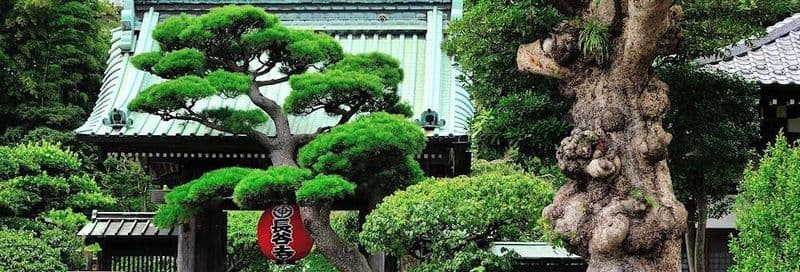 Billet Excursion à Kamakura