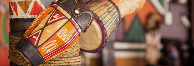 Billet Lion Safari Park + Village Culturel de Lesedi