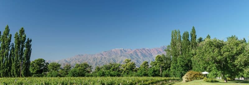 Billet Visite privée des vignobles de la Vallée d'Uco
