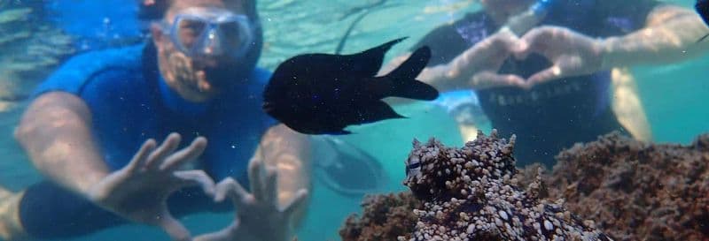 Billet Snorkeling à Porto dos Frades