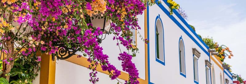 Billet Excursion à Maspalomas, Mogán et au ravin de Guayadeque