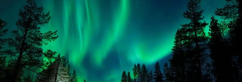 Billet Balade en traîneau tiré par des chiens huskies sous les aurores boréales