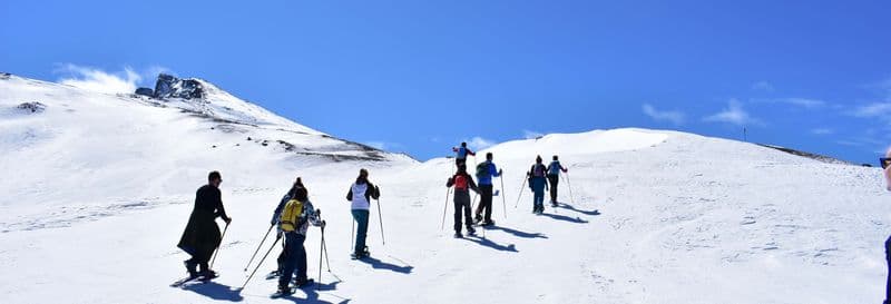 Billet Balade en raquettes à neige dans la Sierra Nevada