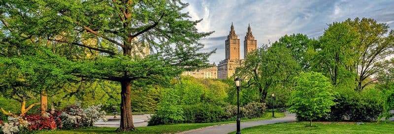 Billet Free tour dans Central Park