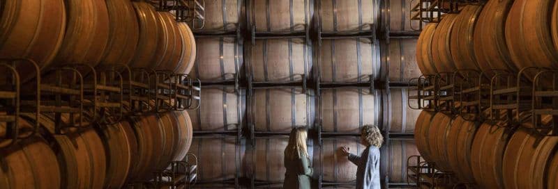 Billet Visite des caves du domaine Marqués de Cáceres