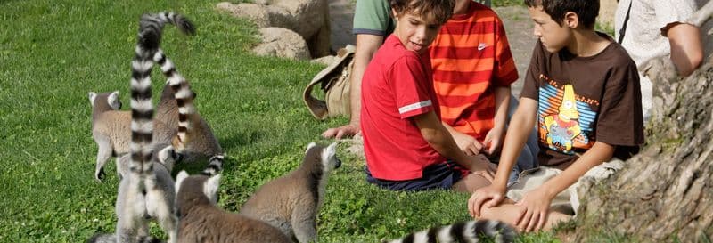 Billet Billet pour le Bioparc Valencia