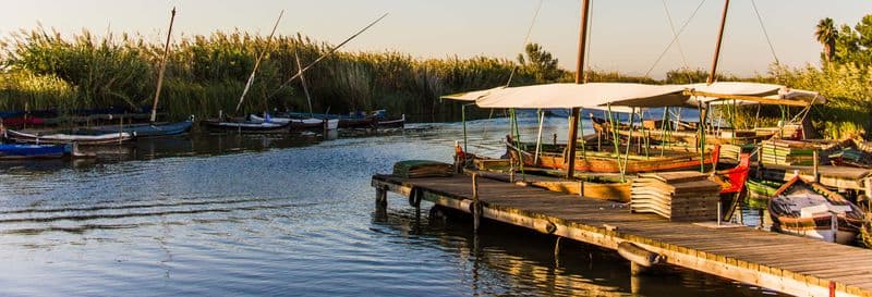 Billet Free tour dans l'Albufera