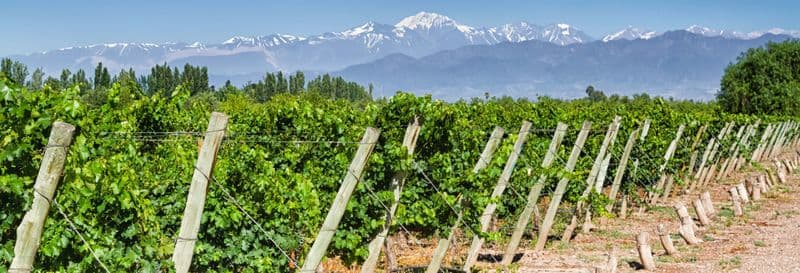 Billet Visite privée des caves à vin de Maipú