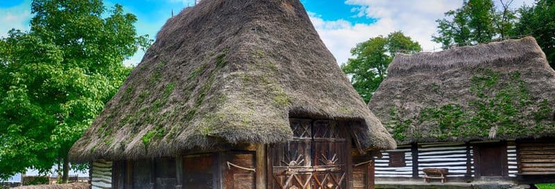 Billet Visite guidée du musée du Village roumain et du parc Herastrau