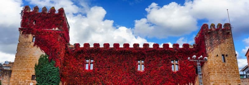 Billet Visite guidée dans Olite et son château