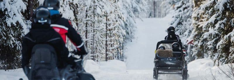 Billet Motoneige + Village de Noël + Traîneau tiré par des rennes
