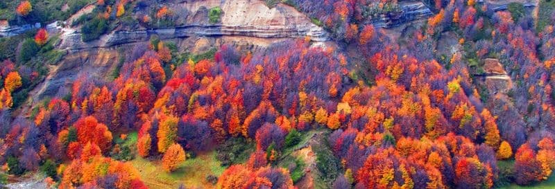 Billet Visite de la Réserve Nationale Magallanes