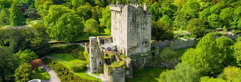 Billet Visite guidée au château de Blarney