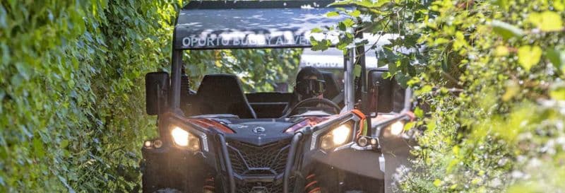 Billet Balade en buggy à Porto