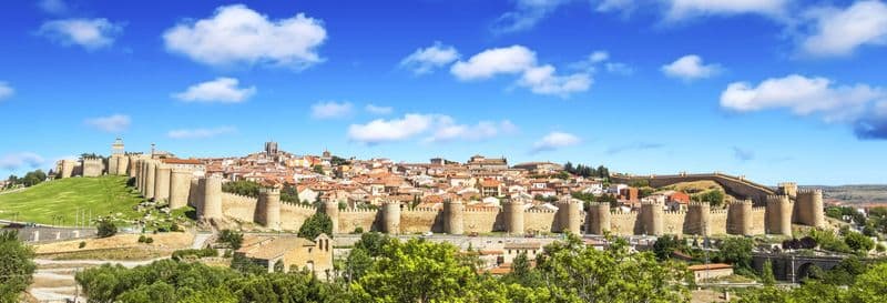 Billet Visite guidée dans Ávila