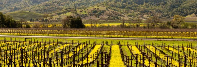 Billet Visite à la découverte du vin à Napa et Sonoma Valley