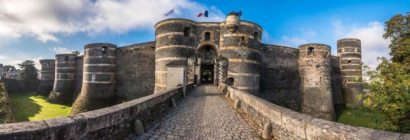 Billet Billet pour le Château d'Angers