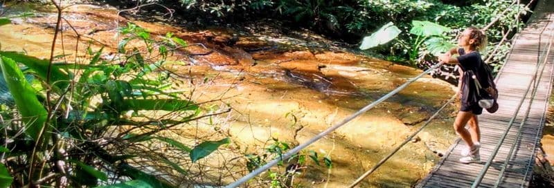Billet Randonnée au Parc National de Tijuca