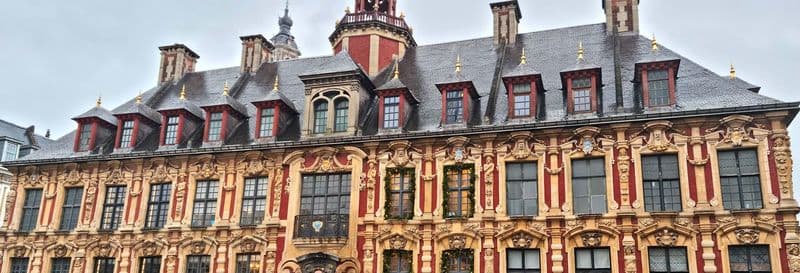 Billet Visite guidée du Vieux Lille