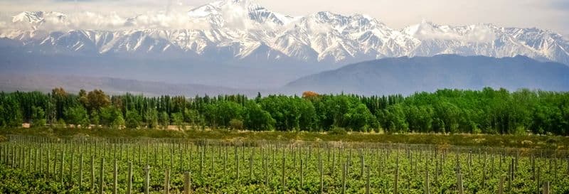 Billet Visite de vignobles et dégustation de vin