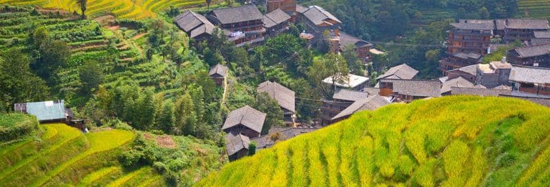Billet Excursion privée à la découverte des rizières en terrasses