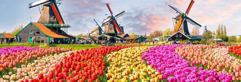 Billet Excursion d'une journée aux jardins de Keukenhof