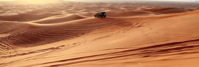 Billet Safari dans le désert avec dîner-spectacle