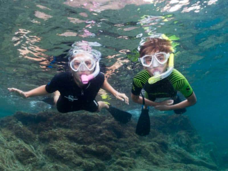 Billet Snorkeling à Cerbère (66)