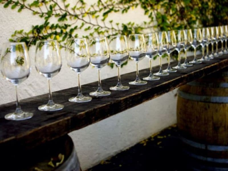 Billet Visite du domaine et cours d'œnologie près de Nantes (44)