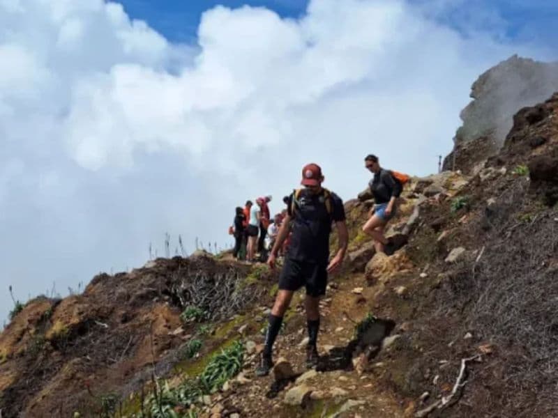 Billet Randonnée avec un guide sur le volcan de la Soufrière (971)